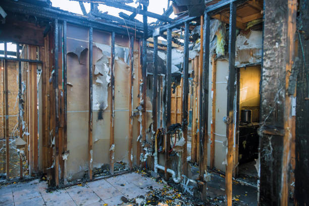 Professional Fire Damage Repair technician working in Ravensdale, WA