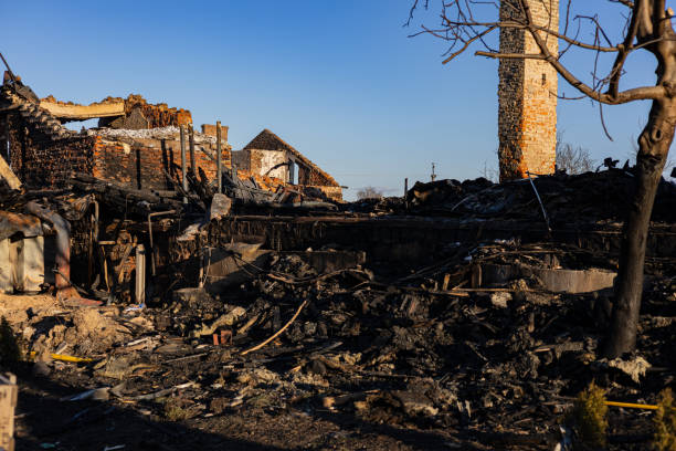 Reliable Fire Damage Repair contractor in Ravensdale, WA by Fire Damage Doption